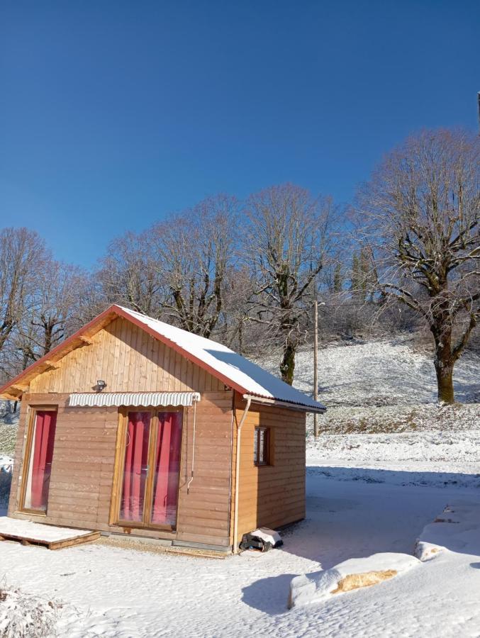 La P'Tite Maison Bois Du Herisson Menetrux-en-Joux Экстерьер фото